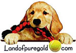 Land of PureGold Foundation