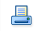 Print Design - (Ctrl+P)