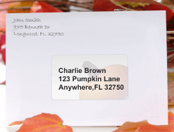 Thanksgiving Holiday Label