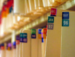 Classification Labels
