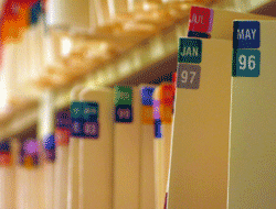 File Folder Labels