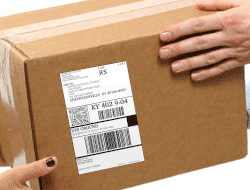 UPS WorldShip Shipping Label