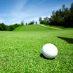 Golf & Country Club - Golf Club Cigar Labels