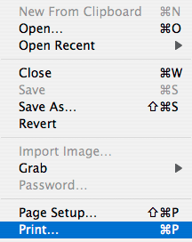 While still in the Preview window, select "File," and then click "Print."