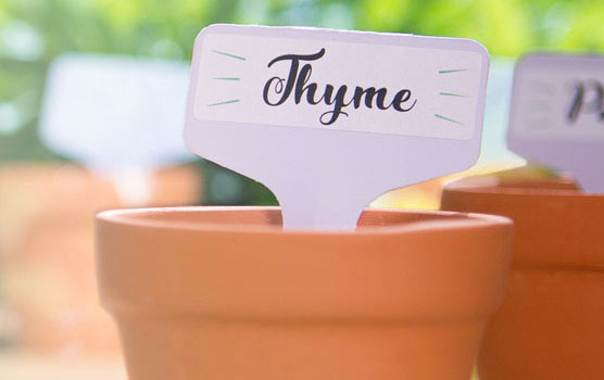 Organization & ID Labels - Inkjet/Laser | Online Labels®